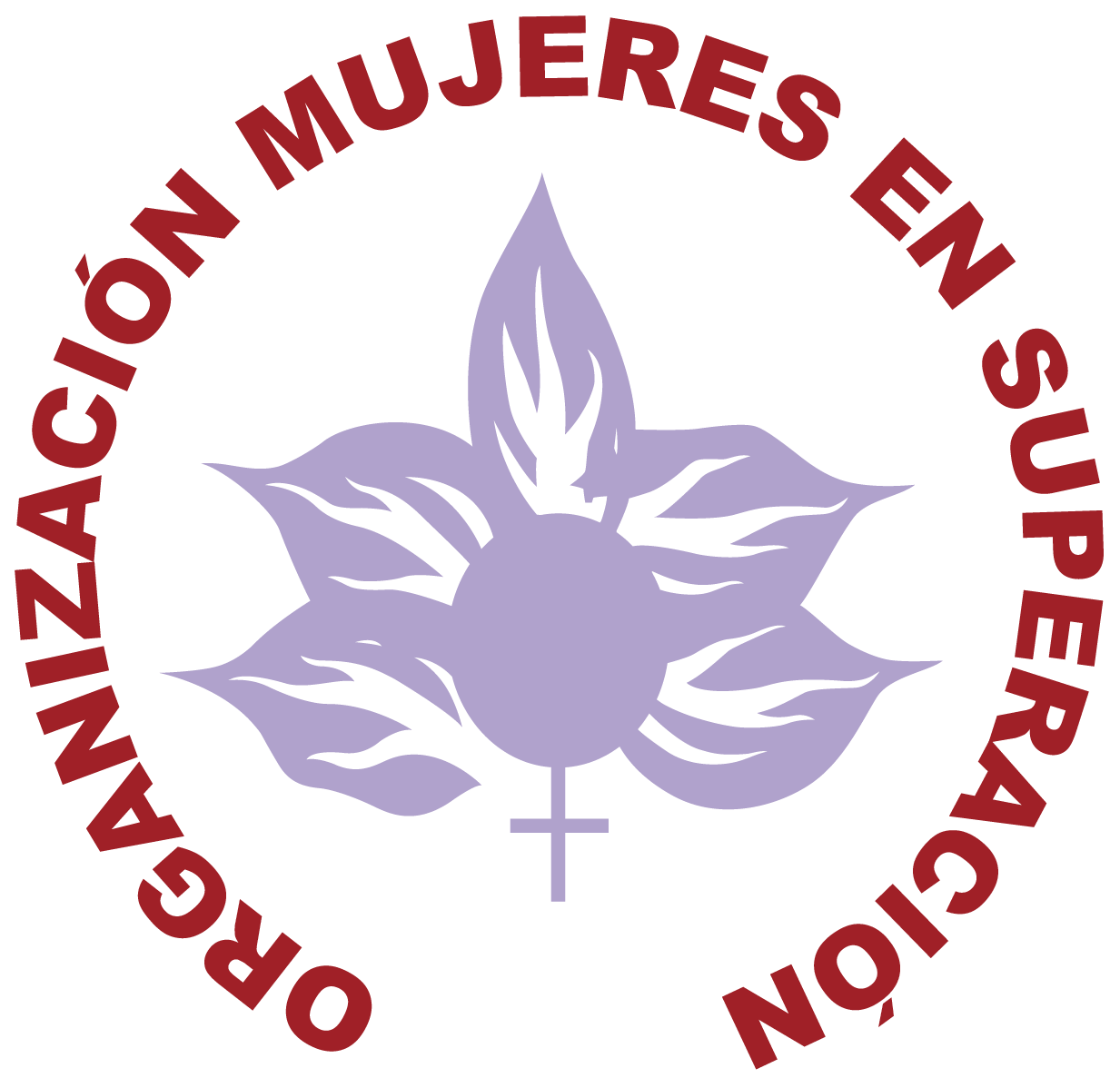 Organización de Mujeres en Superación - OMESGT